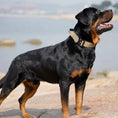 Load image into Gallery viewer, Tactical Dog Collar with Handle – GripMaster
