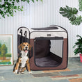 Load image into Gallery viewer, Collapsible Pet Transport Box
