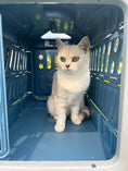 Load image into Gallery viewer, Foldable Pet Transport Box
