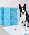Load image into Gallery viewer, Pet Training Pads - DryPaws Mats
