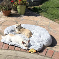 Load image into Gallery viewer, CozyPaws Washable Pet Sofa Blanket
