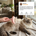 Load image into Gallery viewer, Cat Deshedding Undercoat Rake – Extra-Wide Grooming Tool for Loose Fur & Long Hair
