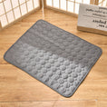 Load image into Gallery viewer, Cooling Pad for Pets
