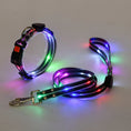 Load image into Gallery viewer, LED Dog Collar with Leash – NightBright
