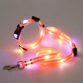 Load image into Gallery viewer, LED Dog Collar with Leash – NightBright
