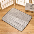 Load image into Gallery viewer, Cooling Pad for Pets
