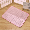 Load image into Gallery viewer, Cooling Pad for Pets
