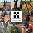 Load image into Gallery viewer, Adjustable Explosion-proof  on Dog Pet Harness Outdoor Adventure Reflective Dog Halter Protective Nylon Walking Dog Harness Vest
