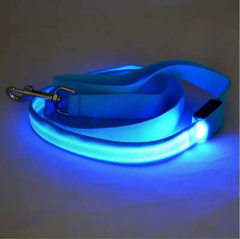 USB charging luminous dog collar, LED waterproof pet collar, dual color mesh dog neck, gold fur, night time anti loss