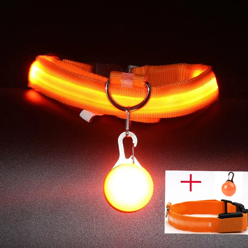 USB Charging Glowing Dog Collar With  battery