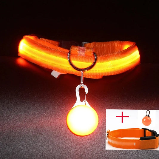 USB Charging Glowing Dog Collar With  battery