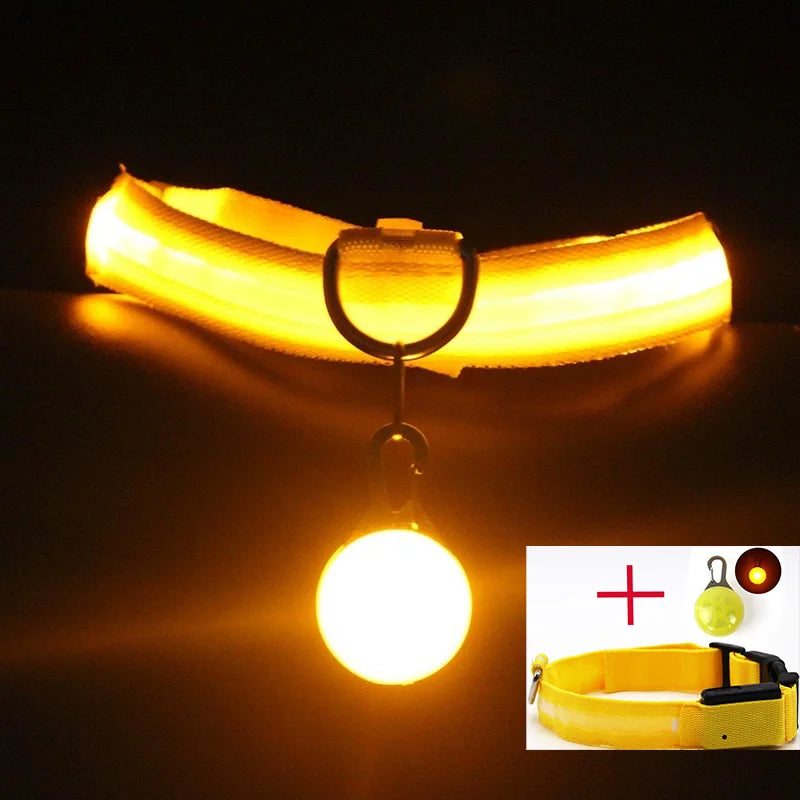 USB Charging Glowing Dog Collar With  battery