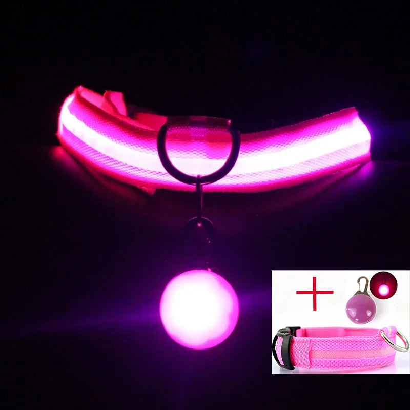 USB Charging Glowing Dog Collar With  battery