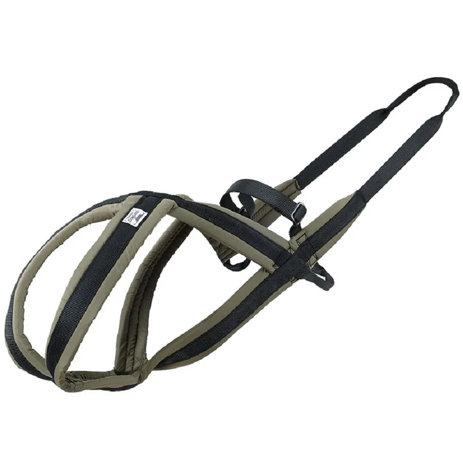 Outdoor Dog Harness and Leash Set for Medium and Large Dogs, Suitable for Walking and Sledding