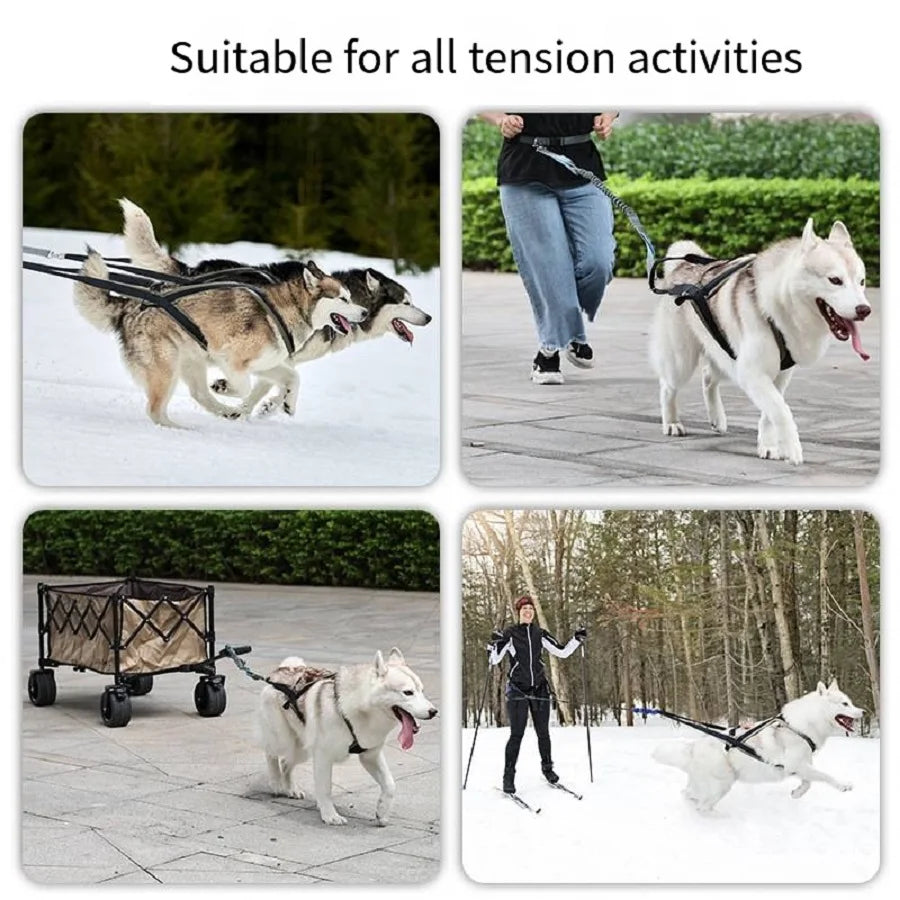 Outdoor Dog Harness and Leash Set for Medium and Large Dogs, Suitable for Walking and Sledding