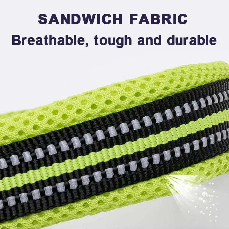 Winhyepet Dog Walking Collar Comfort Padded with Buckle