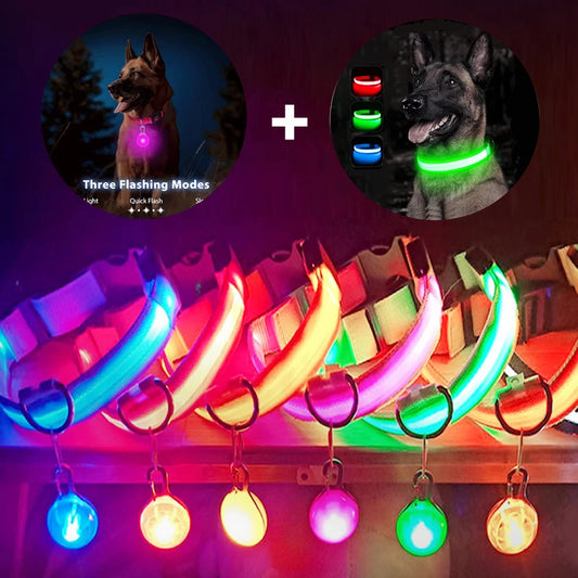 USB Charging Glowing Dog Collar With Pendant