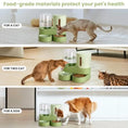 Load image into Gallery viewer, Automatic Cat Feeder Stainless Steel Water Dispenser Gravity Food Feeder and Waterer Set with Pet Food Bowl for Small Medium Ki
