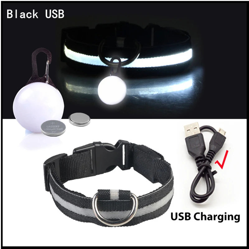 USB Charging Glowing Dog Collar With Pendant