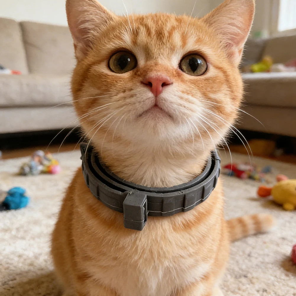 Flea Collar Adjustable Flea and Tick Collar 8 Months Protection Natural Flea and Tick Prevention Collar for Dogs and Cats