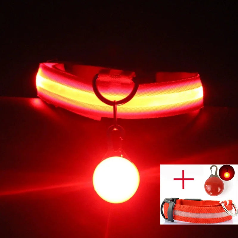 USB Charging Glowing Dog Collar With  battery
