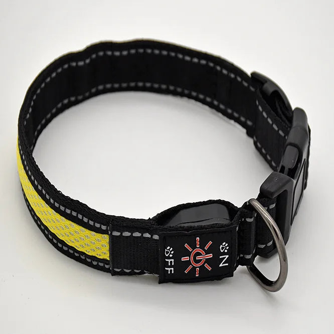 USB charging luminous dog collar, LED waterproof pet collar, dual color mesh dog neck, gold fur, night time anti loss