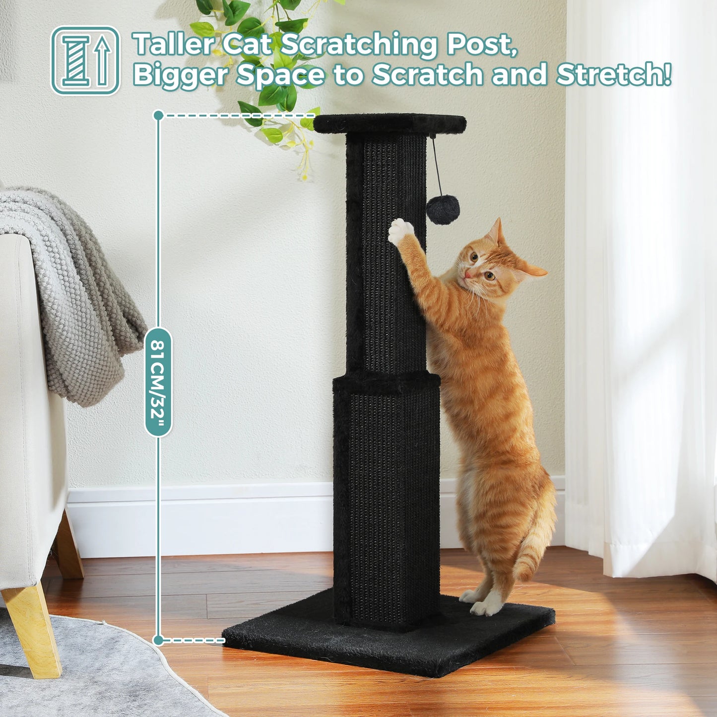 Large Cat Scratching Post for Indoor Cats Adults
