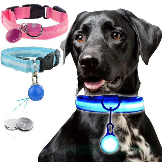 USB Charging Glowing Dog Collar With  battery