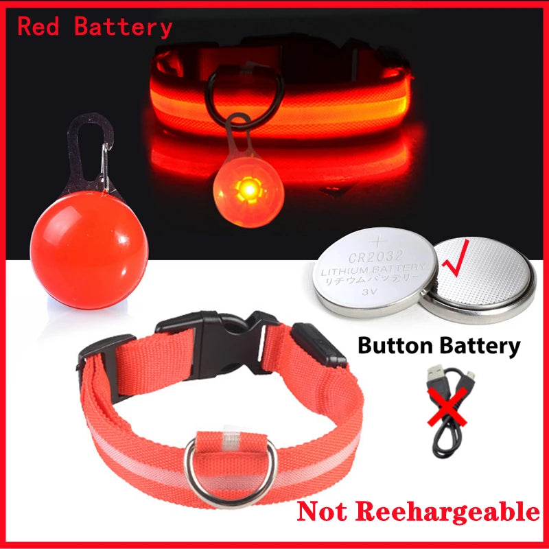 USB Charging Glowing Dog Collar With Pendant