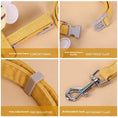 Load image into Gallery viewer, Premium Cat Harness Collar& Little Bee Pet Leash Set Perfect Outdoor Small Dog Vest Pet Supplies Kitten Accessories Puppy Stuff
