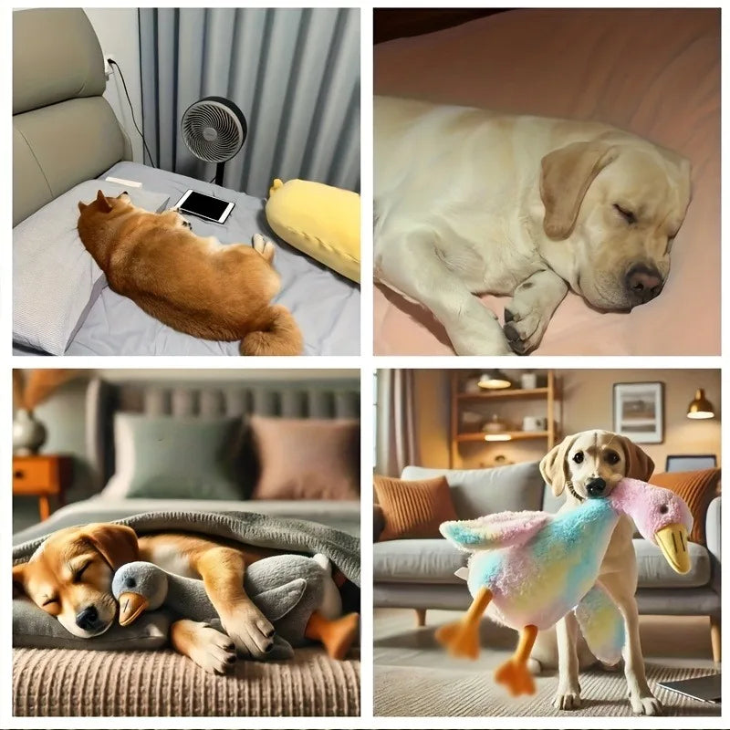 Soft Colorful Duck Plush Toy for Cats Dogs Anxiety-Relieving