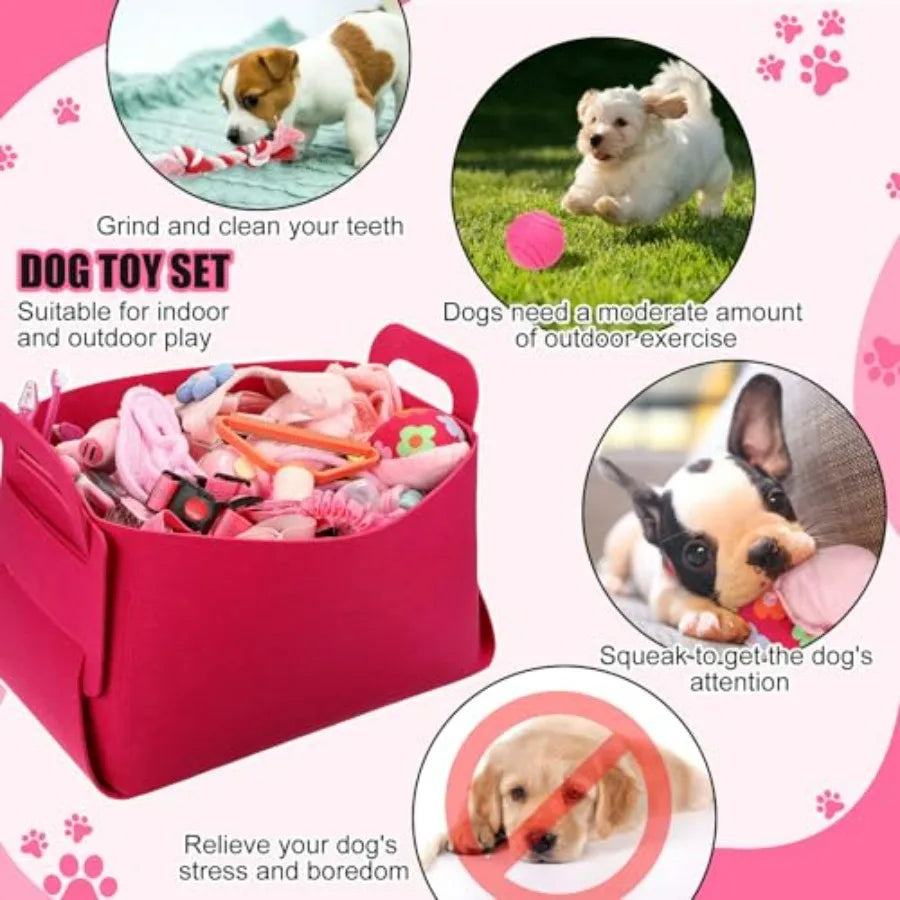 50 Pcs Puppy Supplies Starter Kit for Small Dogs Puppy Essentials Includes Leash, Bowls, Teeth Brushes, Water Bottle, and More