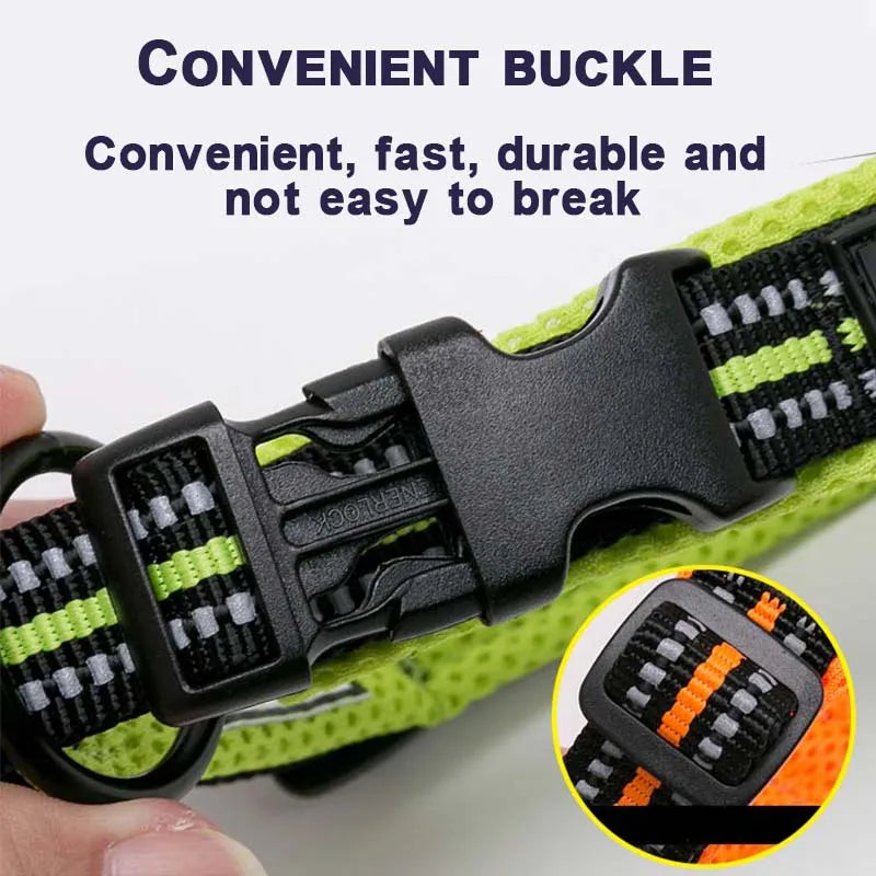 Winhyepet Dog Walking Collar Comfort Padded with Buckle