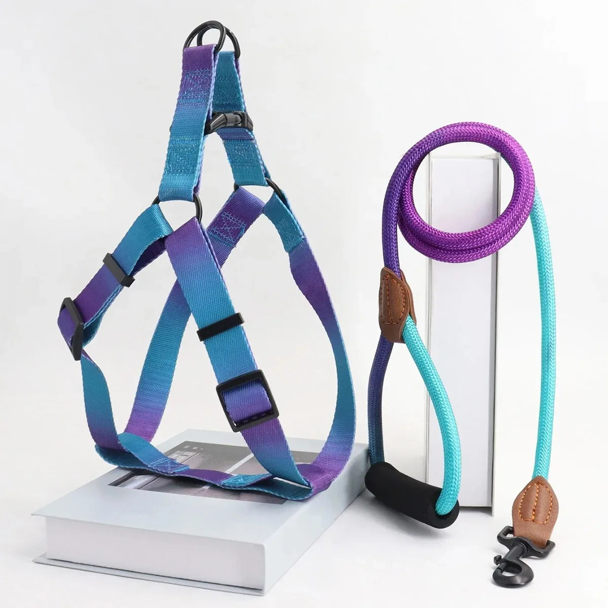 Chest for Dog Harness for Dogs Small Dog Leash Pet Supplies Puppy Accessories Collars Harnesses Leashes Pets Collar