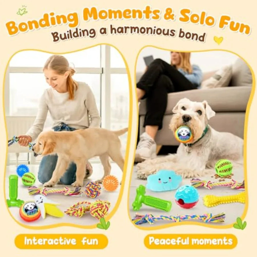 25 Pack Various Dog Toys Set Ideal for Teething, Entertainment and Interactive Play