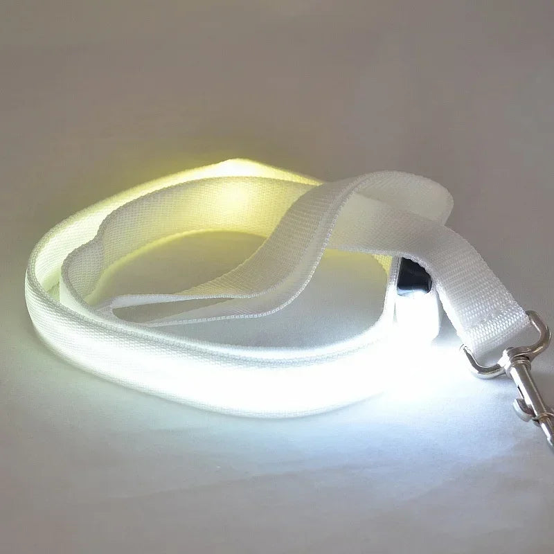 Flashing Leash Electronic Glowing Dog Light Dog LED Luminous Safety Up Accessories For Lead