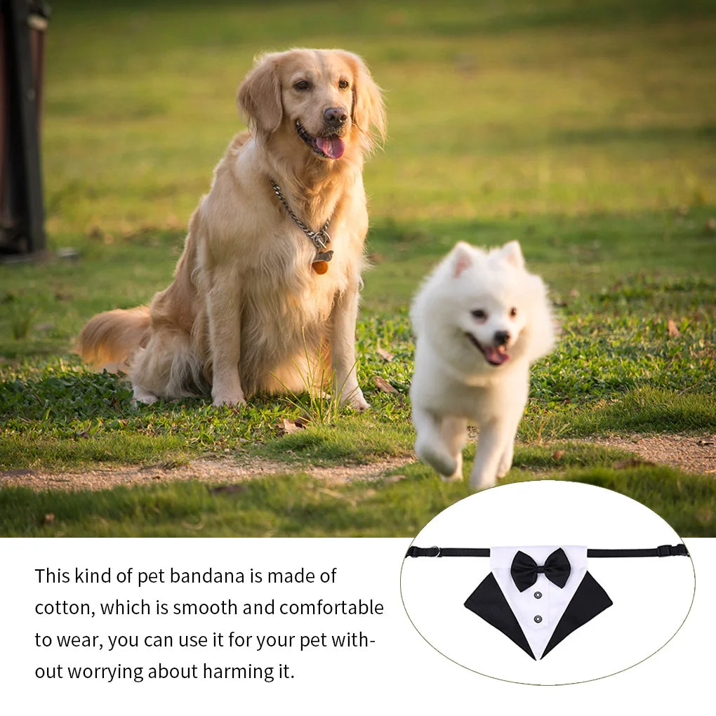 Pet Bandana Cotton Bib Scarf with Collar, Red Black, L