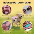 Load image into Gallery viewer, Pet Dog Cooling Vest Harness Cooler Jacket For Walking Dog Outdoor Camping Hunting Training Refrigerator Cooling Source For Dogs
