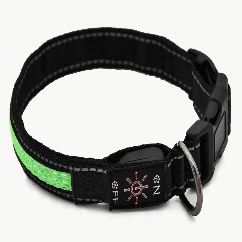 USB charging luminous dog collar, LED waterproof pet collar, dual color mesh dog neck, gold fur, night time anti loss