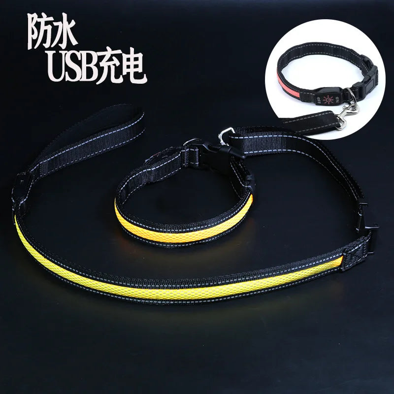 USB charging luminous dog collar, LED waterproof pet collar, dual color mesh dog neck, gold fur, night time anti loss