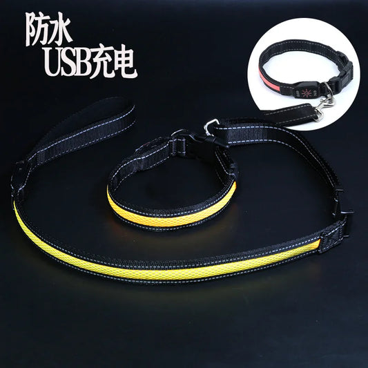 USB charging luminous dog collar, LED waterproof pet collar, dual color mesh dog neck, gold fur, night time anti loss