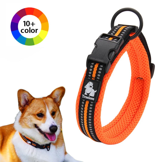 Winhyepet Dog Walking Collar Comfort Padded with Buckle