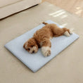 Load image into Gallery viewer, 1pc Sponge Cooling Cat Bed, Thick Padding Comfortable Cool Breathable Cat Nest, Non-Slip And Washable Cooling Small Dog Bed, Suitable For All Seasons
