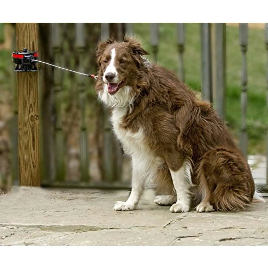 ® Bracket Mount and Stake Retractable Leash Tie Outs for Dogs Large (Pack of 1 Bracket)