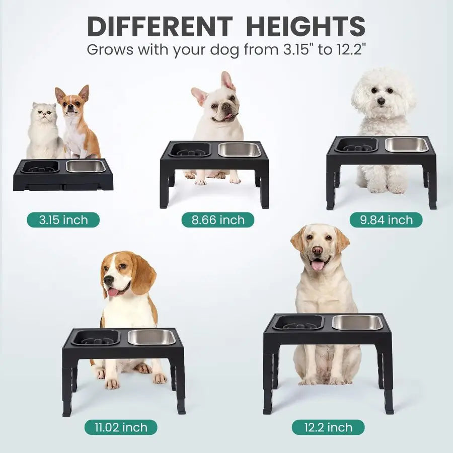 Raised Dog Bowls that Adjusts to 5 Heights