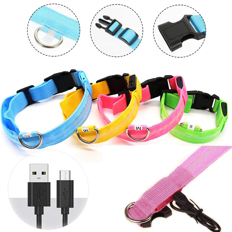 USB Charging Glowing Dog Collar With  battery