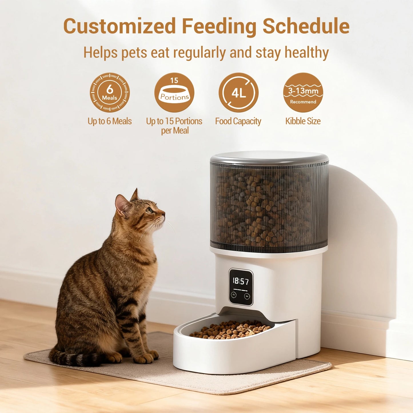 Programmable 4L Automatic Pet Feeder for Small Dogs & Cats