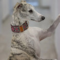 Load image into Gallery viewer, Soft Comfortable Adjustable Collar
