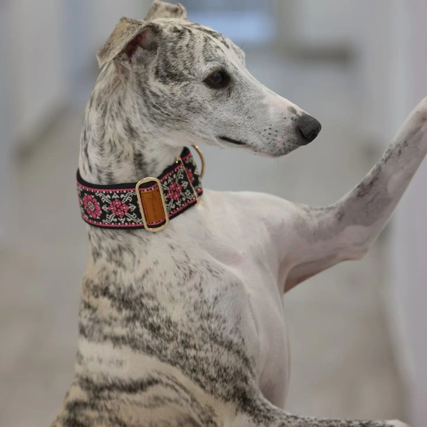 Soft Comfortable Adjustable Collar