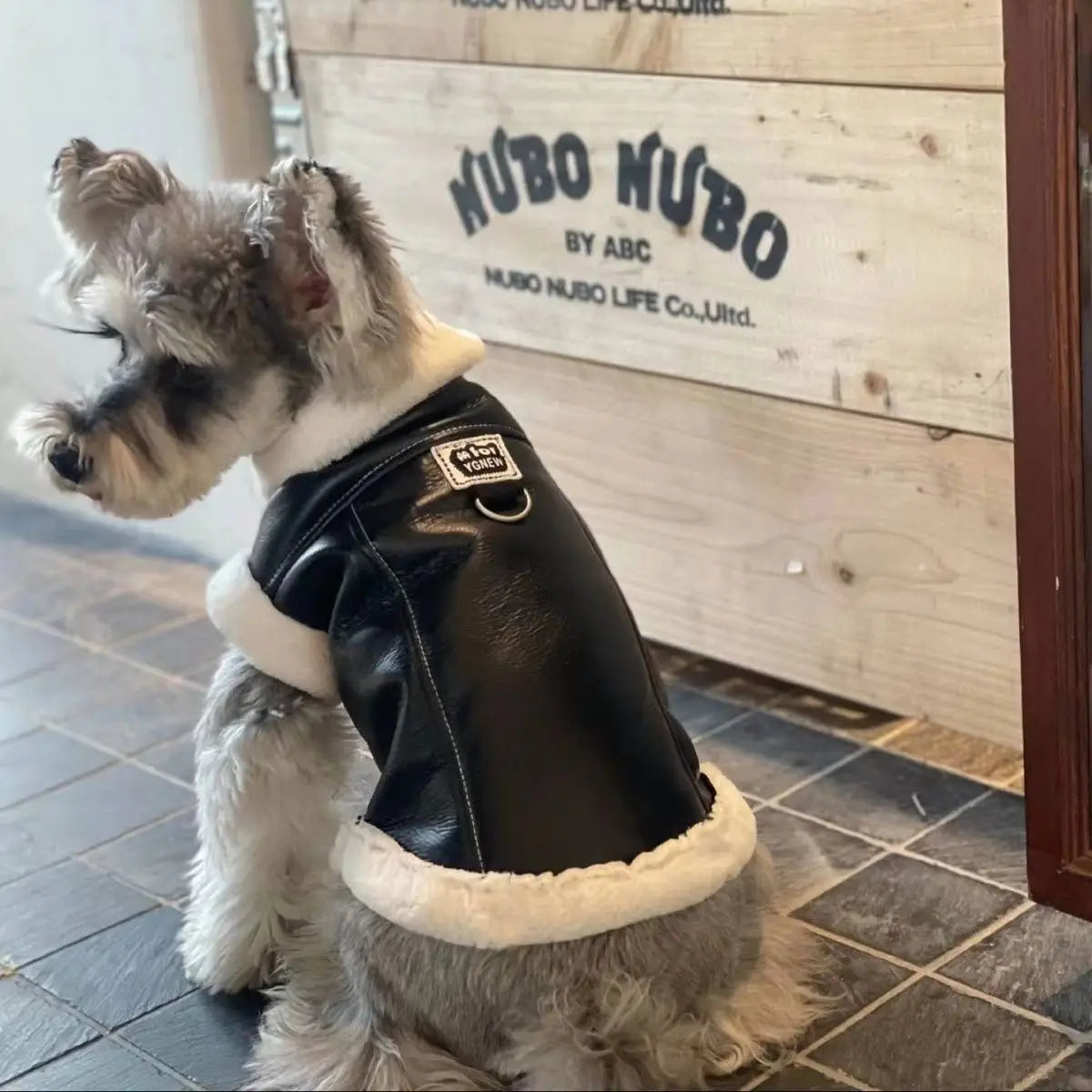 Pet Padded-Vest, Solid-Color Dog Jacket with Traction Buckle